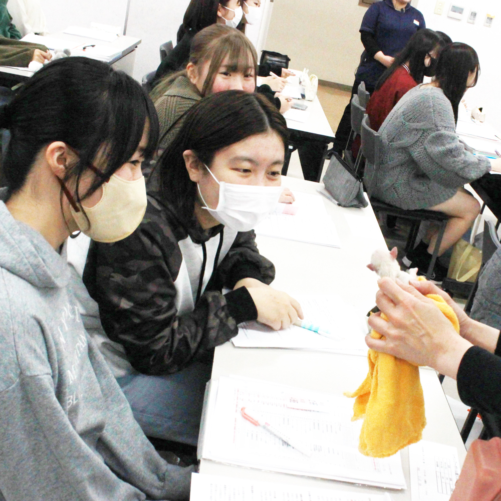 新入生、入学式の翌日に子犬が産まれました！